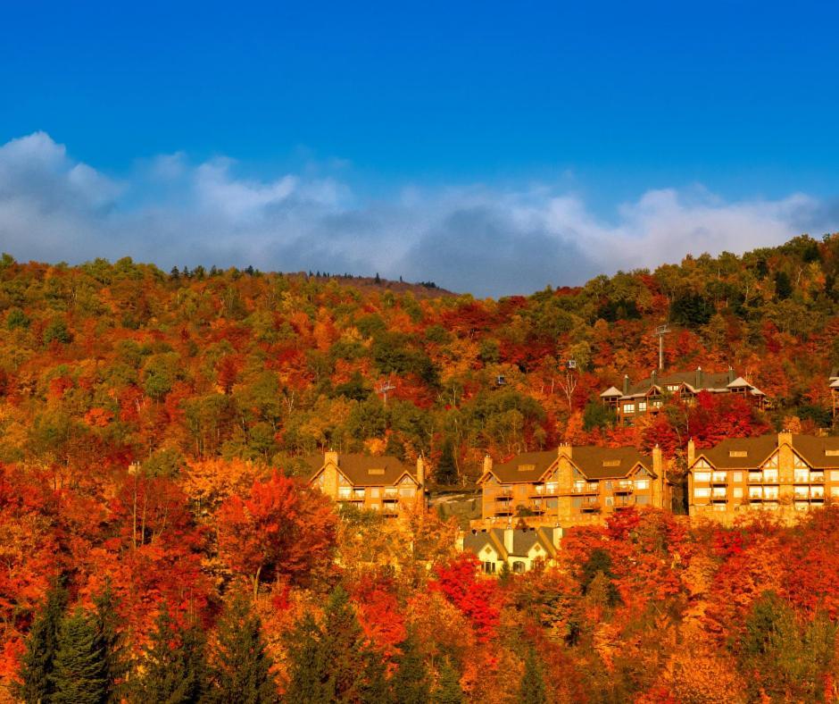 Altitude Ski Inout 3 Bdrs W Sauna And Hot Tub Mont-Tremblant Luaran gambar